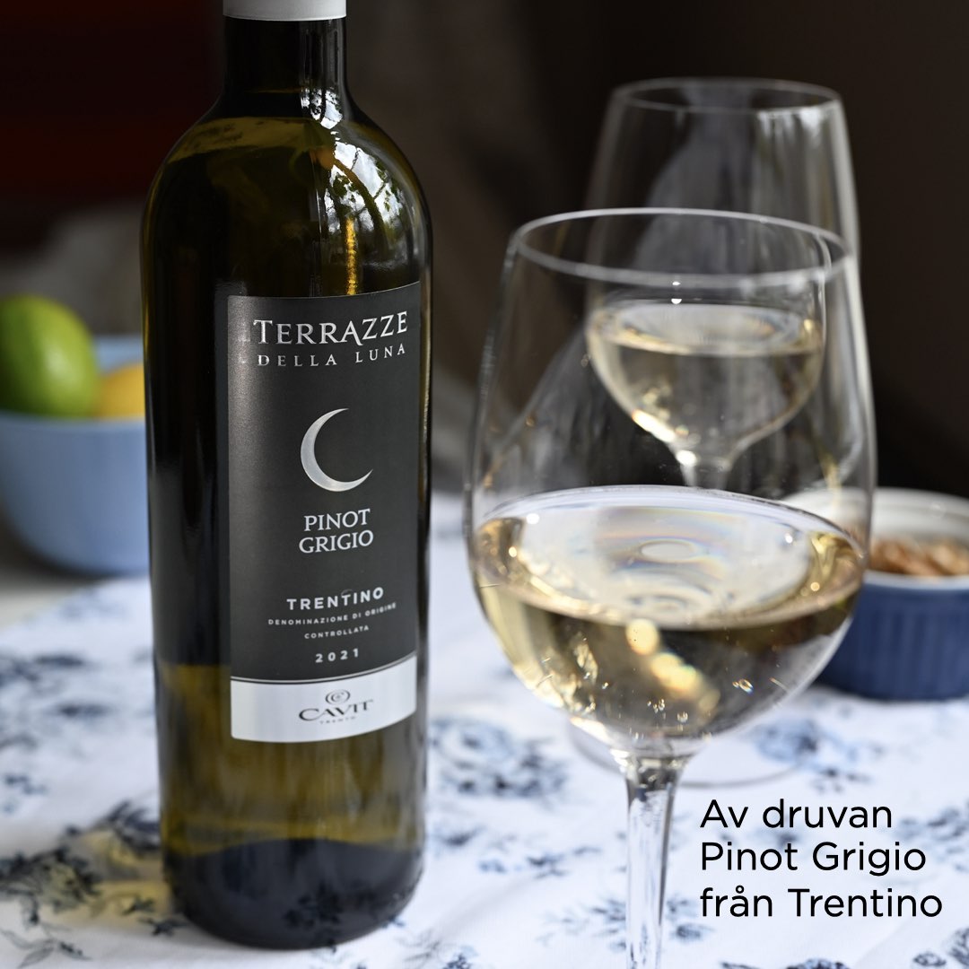 Vitt vin från norra Italien: Terrazze Della Luna: 95 kr